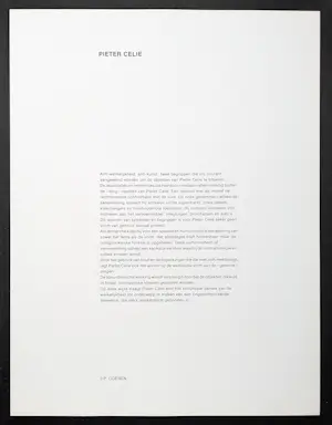 Pieter Celie - compositie met racewagen kopen? Bied vanaf 49!