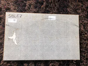 Sies Bleeker - converserende mensen (1968?) ZELDZAAM kopen? Bied vanaf 45!