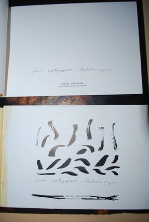 Arie Schippers - (Prix de Rome 1977) - 1 vrijwel geheel bewerkte catalogus plus div. kopen? Bied vanaf 195!