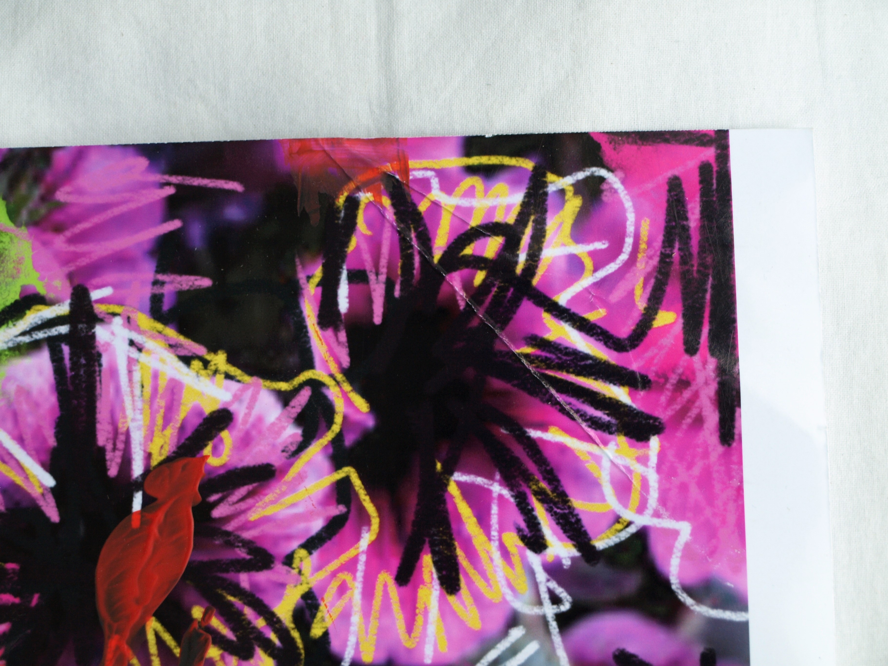 Peter Klashorst - Digitale print op fotopapier – Vrouw – gesigneerd - 2014 kopen? Bied vanaf 1!