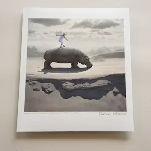 Dariusz Klimczak - 'Hippodance' (2012) kopen? Bied vanaf 85!