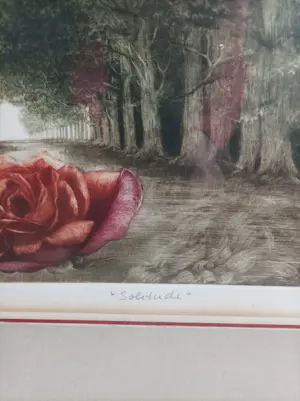 G.H. Rothe - SOLITUDE kaufen? Bieten Sie von 95!