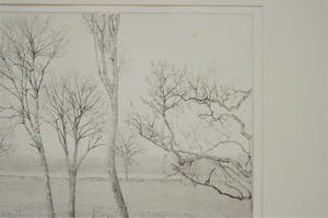 Charles Donker - Winterlanschap in Rhijnauwen, snel dalende kauwen kopen? Bied vanaf 200!