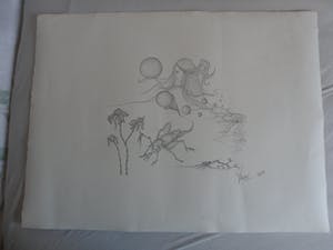 Niet of onleesbaar gesigneerd - Litho, Titel onbekend kopen? Bied vanaf 1!