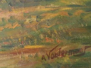 Toon Vostermans - Boerin met kippen kopen? Bied vanaf 33!