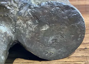 Hans Goddefroy - Gilde tamboer kopen? Bied vanaf 300!