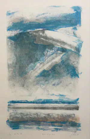 Jan Baas - "de Put VI" | litho (eigen druk) - ingelijst (Groot) kopen? Bied vanaf 59!