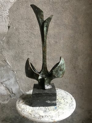Rien Goene - Groei kopen? Bied vanaf 1450!