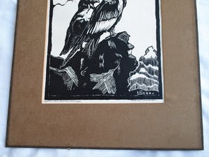 Jan Staats Kiewiet - onder pseudoniem Ed Jeska - Houtsnede , Jonge Arenden – gesigneerd -ca 1940 kopen? Bied vanaf 1!