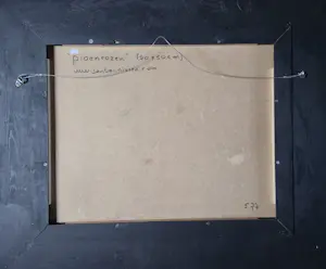 Jan Teunissen - Pioenrozen kopen? Bied vanaf 1000!