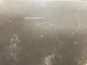 Jean van Wijk - Gemengde techniek op paneel, L. 1153 - Ingelijst (Zeer groot) kopen? Bied vanaf 1!