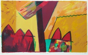 Fenneke van der Elst - Zeefdruk, 5 dakjes - Ingelijst kopen? Bied vanaf 1!