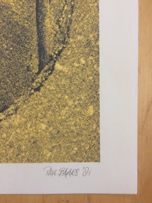 Paul Baars - Water: Houston/ Paris/ Caracas kopen? Bied vanaf 1!