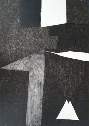 Guillaume Le Roy - Houtsnede 1985 (groot) kopen? Bied vanaf 65!