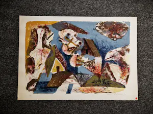 Martin Engelman - grote jaren 70 kleuren lithografie - beperkte oplage - potloodgesigneerd kopen? Bied vanaf 35!