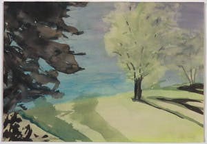 Heske de Vries - Aquarel en acryl op papier, Lake side - Ingelijst kopen? Bied vanaf 1!