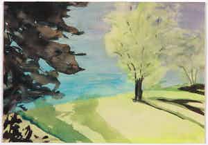 Heske de Vries - Aquarel en acryl op papier, Lake side - Ingelijst verkocht voor € 1!