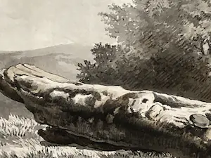 Harry Heijer - Gevelde boom, sepia kopen? Bied vanaf 60!