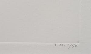 Reinder Homan - dubbele ets, botanisch, opl.3/50, incl. lijst kopen? Bied vanaf 150!