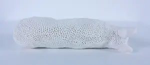 Kathja Smits - Porselein, Hond liggend kopen? Bied vanaf 125!