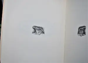 Dick van Luijn - [2 boeken] Het Grafisch Werk, genummerd, met prent & 1x met 4 houtgravures kopen? Bied vanaf 50!