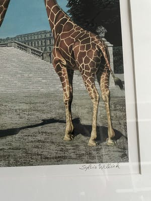 Carel Willink - Grote litho 'Twee Giraffen' kopen? Bied vanaf 210!