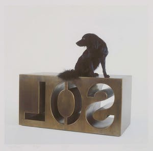 Marc Ruygrok - Piezografie, Sol Bob - Ingelijst kopen? Bied vanaf 10!