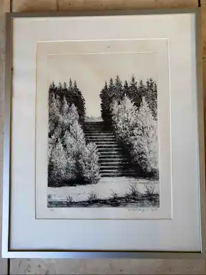 Hans Dolieslager - De trap op weg naar onze tuin verkocht voor € 45!