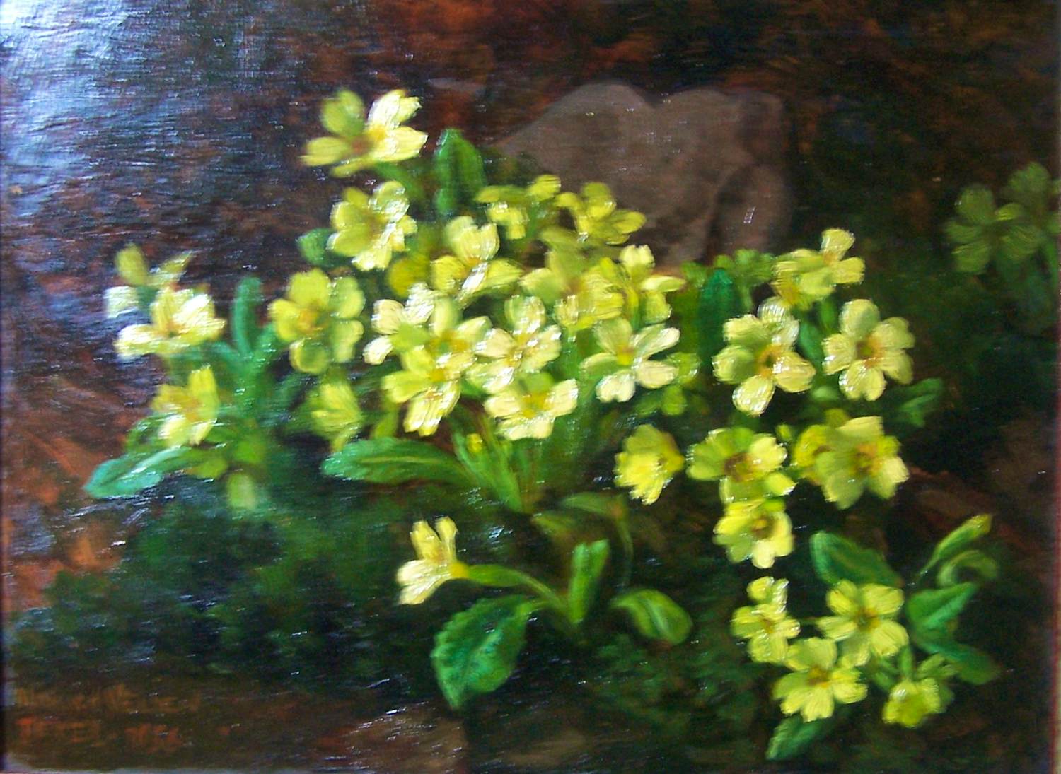 Ad Blok van der Velden - Stengelloze sleutelbloemen Texel kopen? Bied vanaf 300!