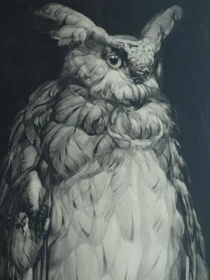 Adriaan van 't Hoff - Lithografische prent , Oehoe – Uitgegeven door De V.AE.V.O. –100x75 cm kopen? Bied vanaf 60!