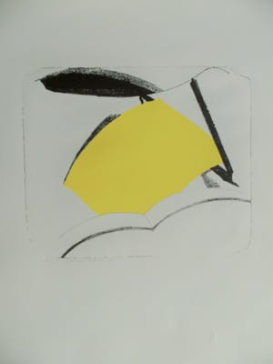 Annemiek Stegerman - mooie abstracte litho kopen? Bied vanaf 42!