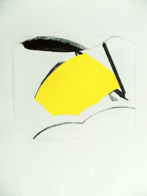 Annemiek Stegerman - mooie abstracte litho verkocht voor € 42!