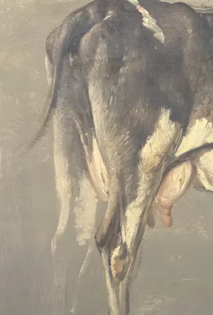 Anton Mauve (sr.) - olieverfstudie van een koe kopen? Bied vanaf 150!