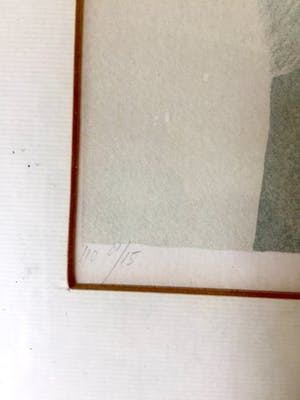 Janna Spil - Gebroken Spiegel - Lithografie, Ingelijst kopen? Bied vanaf 60!