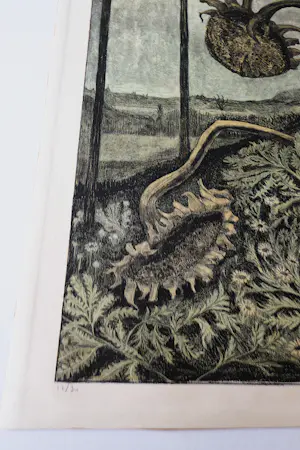 Herman Bernard Dieperink Jzn - fraai gedetailleerde kleuren - litho - Zonnebloemen - bep. oplage (70) kopen? Bied vanaf 35!