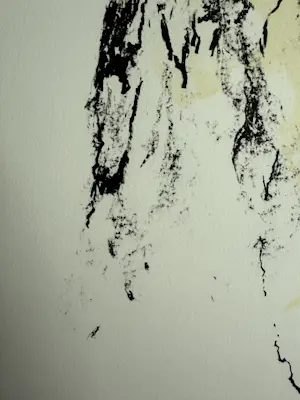 Armando - handgesigneerde litho | 'Der Baum' | 1988 kopen? Bied vanaf 250!