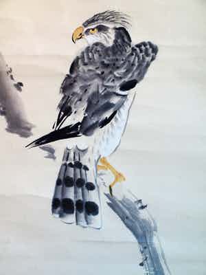 Niet of onleesbaar gesigneerd - Japanse scroll, “Havik op tak” - Aquarelverf en inkt op papier, 19e Eeuw verkocht voor € 10!
