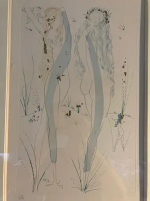 Salvador Dali - - Surrealistische naakten - Ingelijst - " Songs of King Solomon " kopen? Bied vanaf 300!