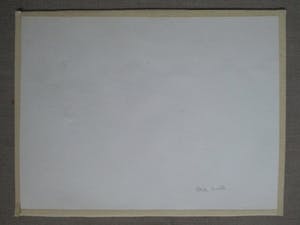 Paula Zwollo - Aquarel kopen? Bied vanaf 10!