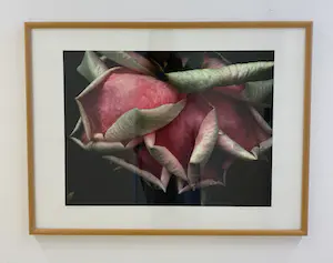 Bert Houweling - Roos 39 kopen? Bied vanaf 110!