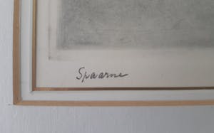 Poppe Damave - Spaarne kopen? Bied vanaf 60!