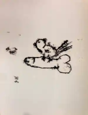 Tracey Emin - SINGING BIRD--TATTOO 2007 Drukgesigneerd. verkocht voor € 30!