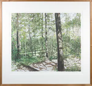 AcheterKarin Elfrink - Zeefdruk, Bomen Bos Koningsduin - Ingelijst? Enchérissez de 50!