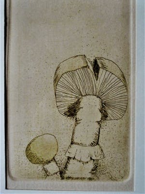 Peter de Leur - Bijzondere 8 delige Droge Naald ets "Dag, Nacht en Paddestoelen" gesigneerd kopen? Bied vanaf 10!