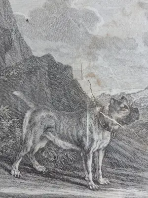 Johann Elias Ridinger - Vier gravures. Jachthonden. Ingelijst. kopen? Bied vanaf 160!