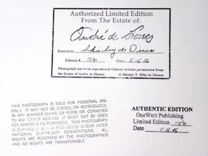 André De Dienes - Marilyn Monroe, 1949 - Auflage von 91 - drucksigniert kopen? Bied vanaf 500!