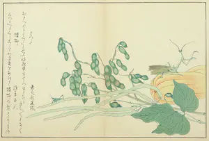 Kitagawa Utamaro - Houtdruk, Sprinkhaan op gele pompoen kaufen? Bieten Sie von 35!
