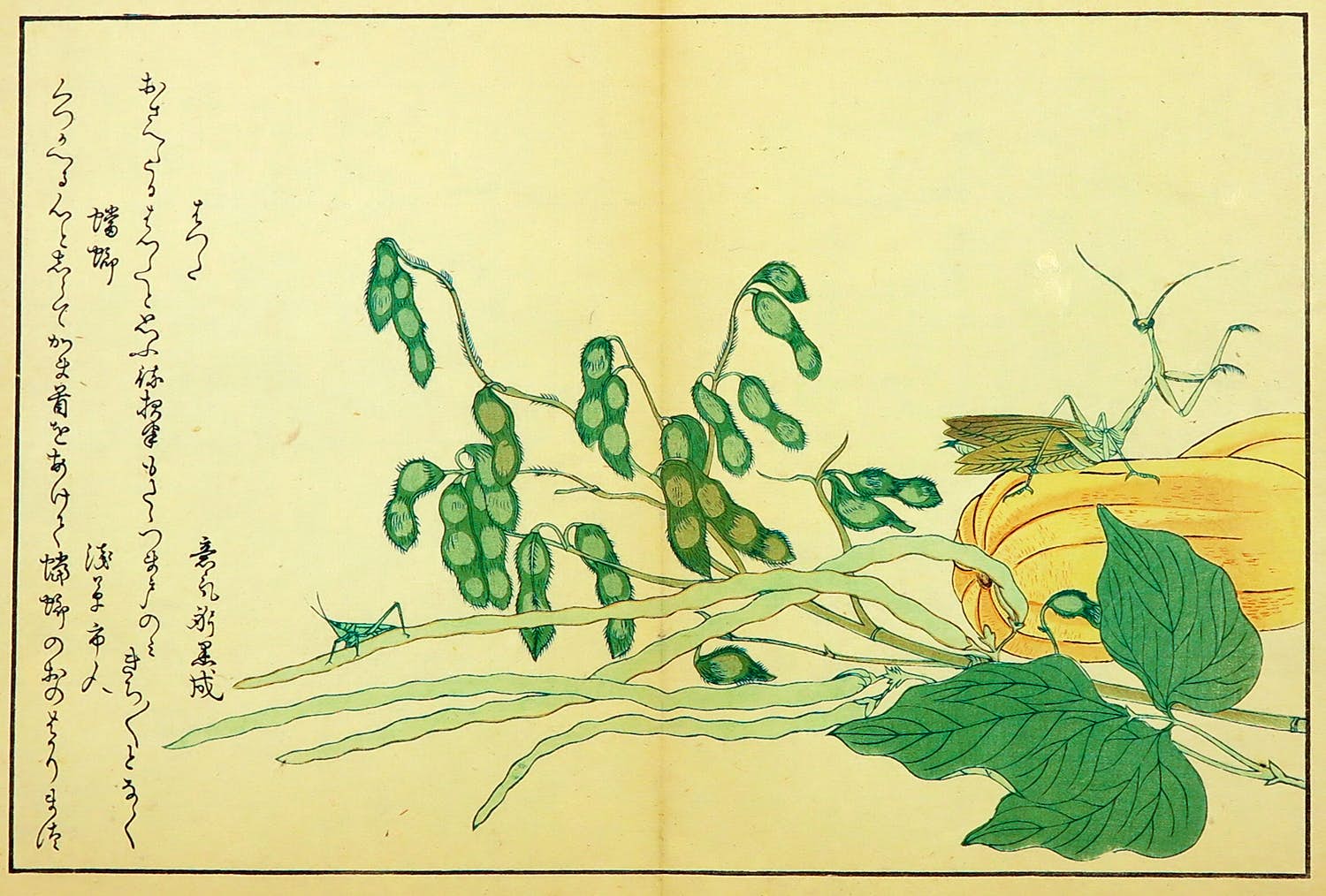 Kitagawa Utamaro - Houtdruk, Sprinkhaan op gele pompoen verkocht voor € 35!