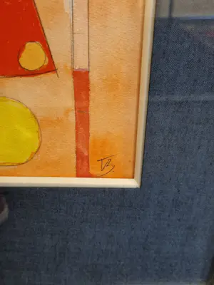 Tinus van Bakel - Circus kopen? Bied vanaf 10!