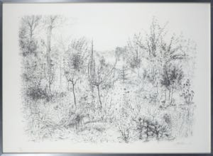 Piet Klaasse - Litho, Mijn tuin - Ingelijst kopen? Bied vanaf 35!